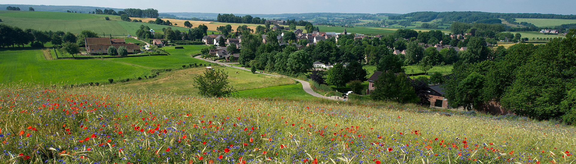 Decoratieve afbeelding